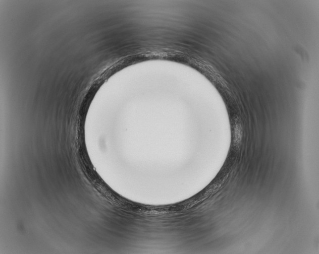 X0000111450444200908241209