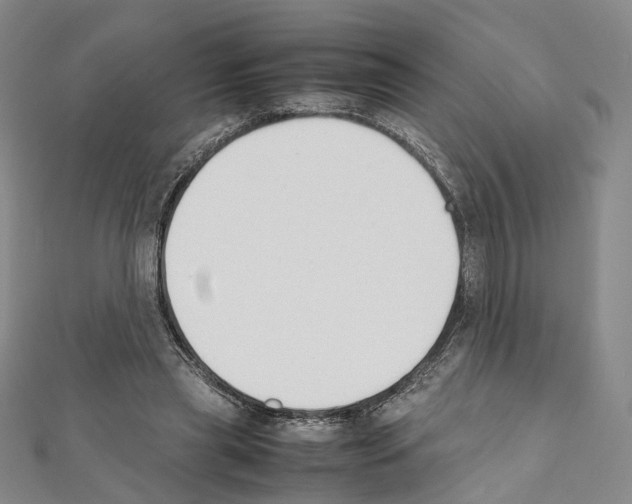 X0000111450445200908241209