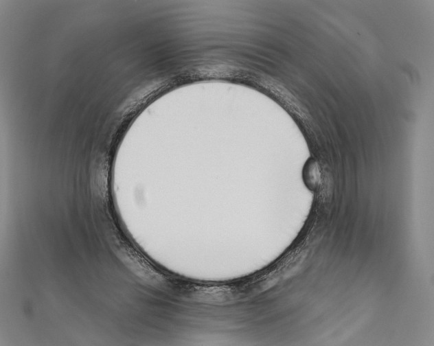 X0000111450446200908241209