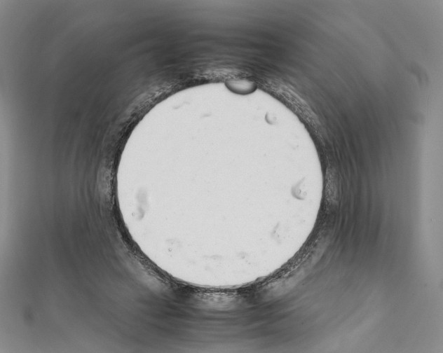 X0000111450449200908241209