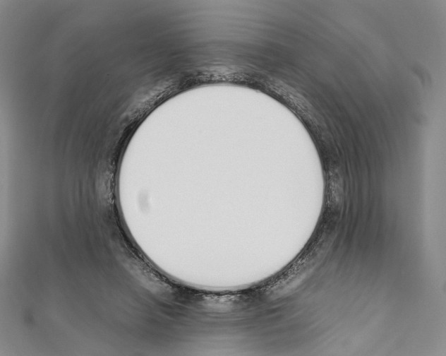 X0000111450450200908241209