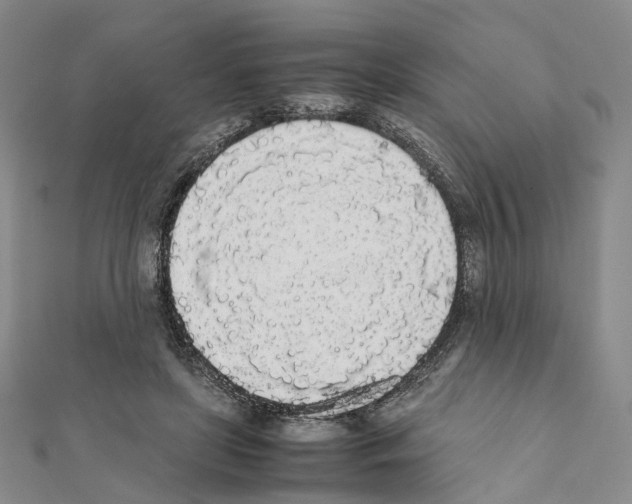 X0000111450451200908241209