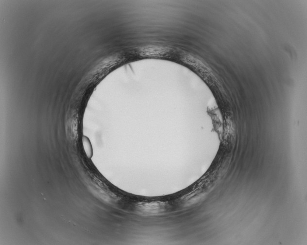 X0000111450452200908241209