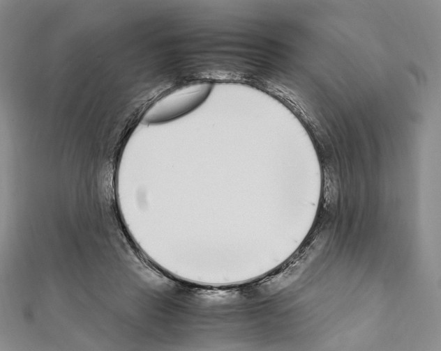 X0000111450453200908241209