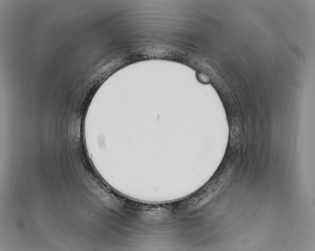 X0000111450454200908241209