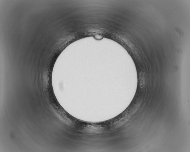 X0000111450455200908241209