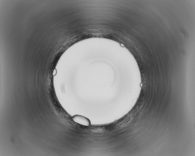 X0000111450456200908241209
