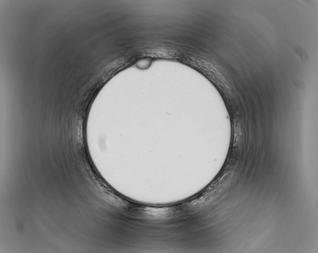X0000111450457200908241210