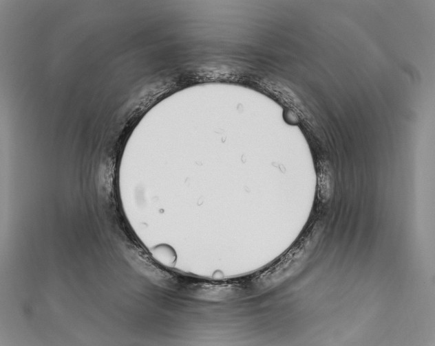 X0000111450458200908241210