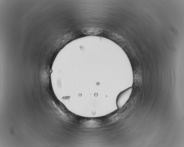 X0000111450460200908241210