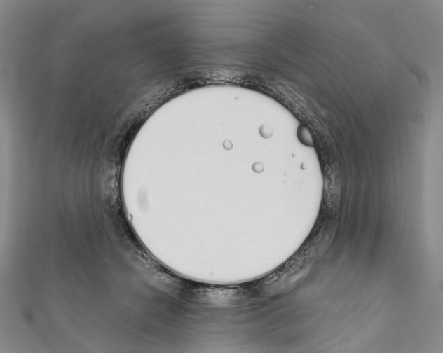X0000111450462200908241210