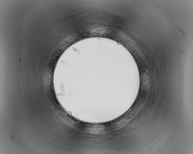 X0000111450463200908241210