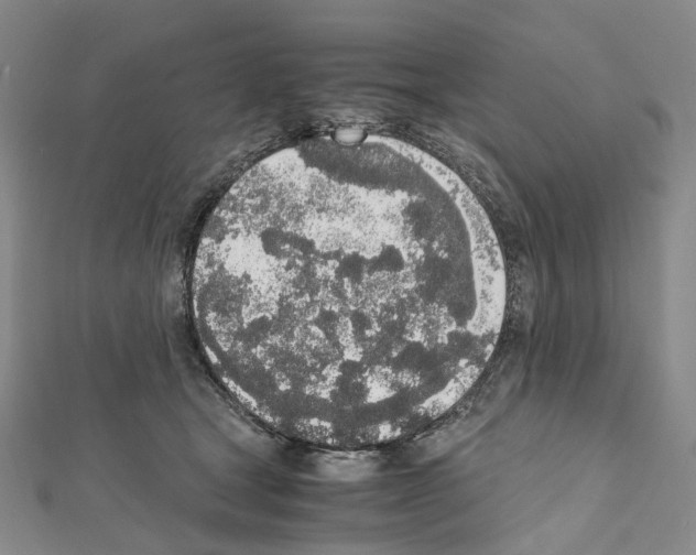X0000111450465200908241210
