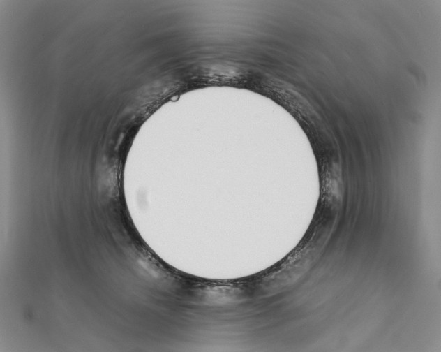 X0000111450468200908241210