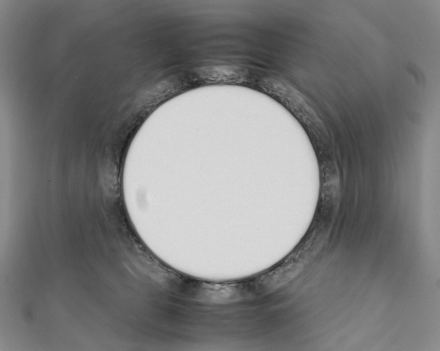 X0000111450469200908241210