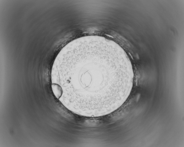 X0000111450470200908241210