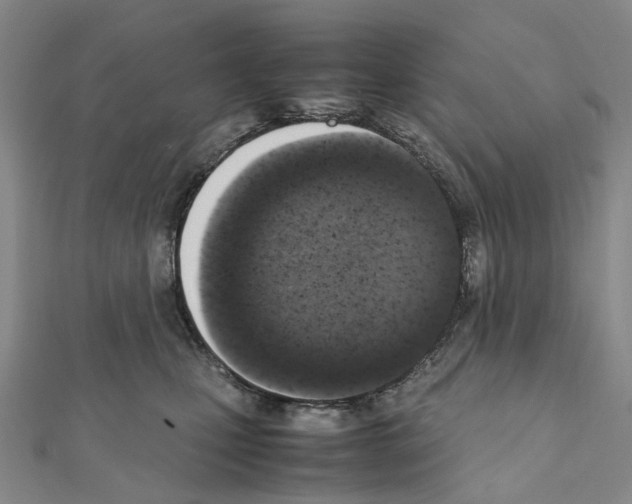 X0000111450471200908241210