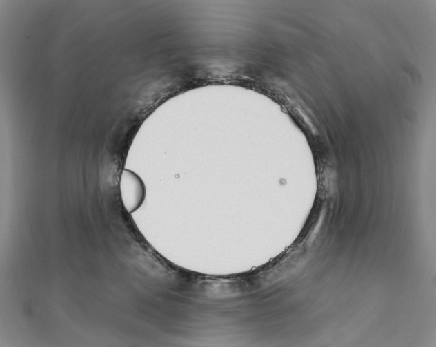 X0000111450472200908241210
