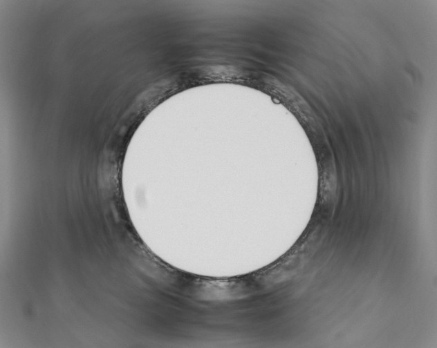 X0000111450473200908241210