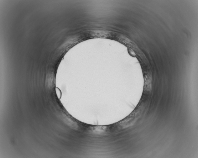 X0000111450474200908241210