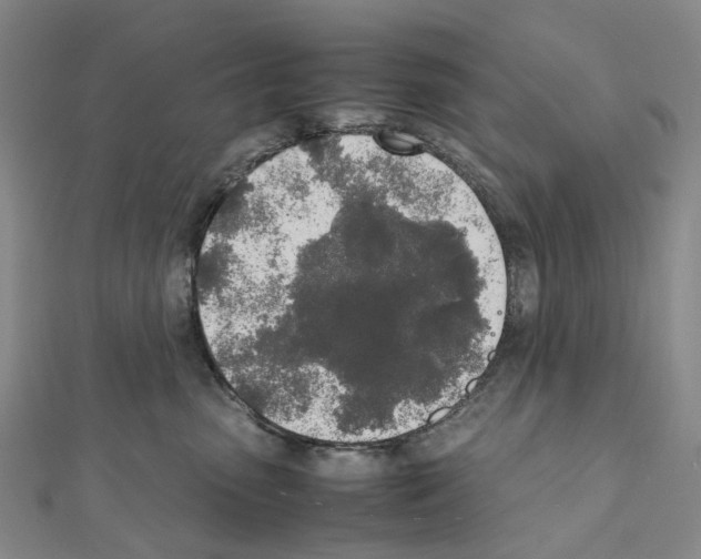 X0000111450475200908241210