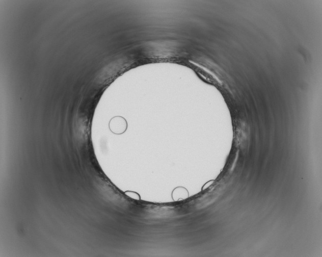 X0000111450476200908241210