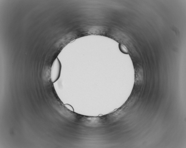 X0000111450478200908241210