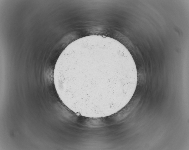 X0000111450479200908241210
