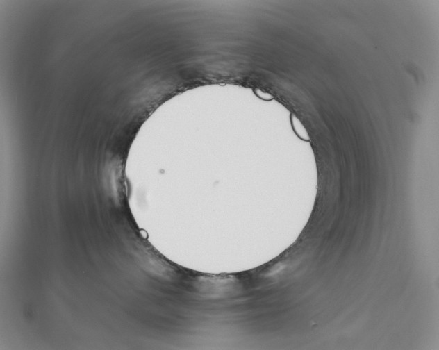X0000111450480200908241210
