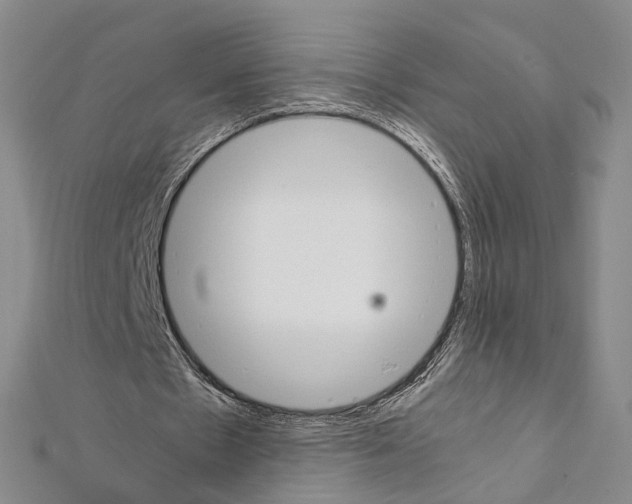 X0000111450481200908241209