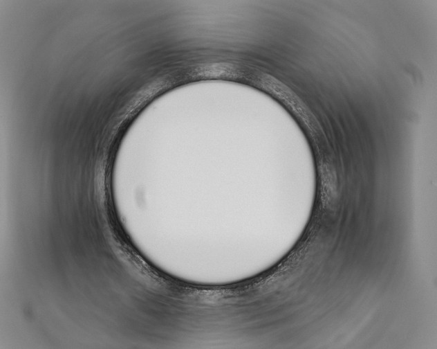 X0000111450482200908241209