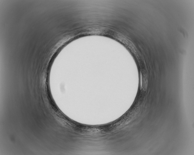 X0000111450483200908241209