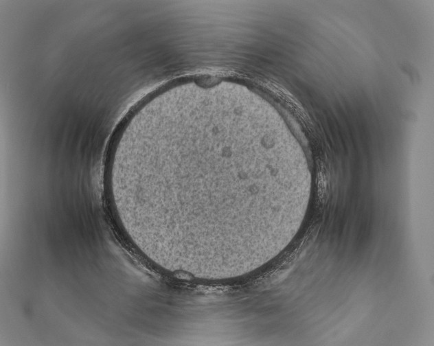 X0000111450484200908241209