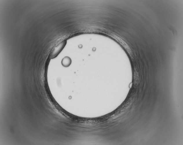 X0000111450485200908241209