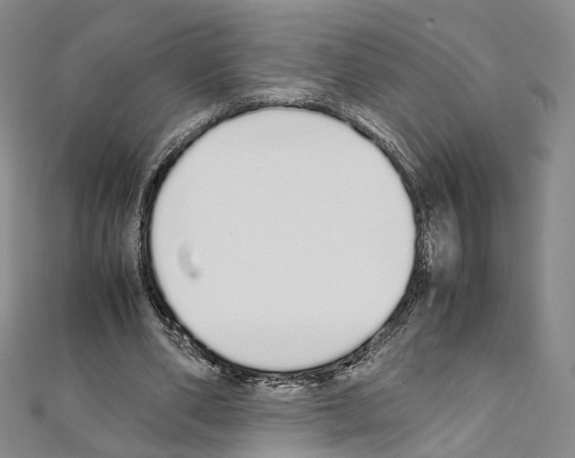 X0000111450486200908241209