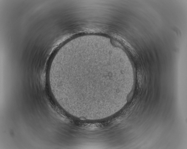 X0000111450488200908241209