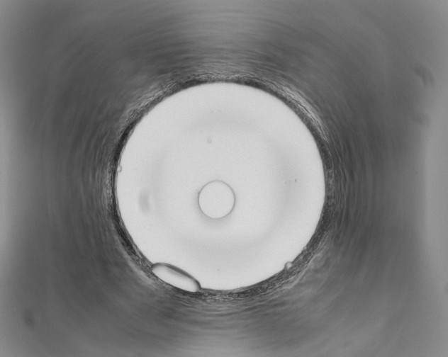 X0000111450489200908241209