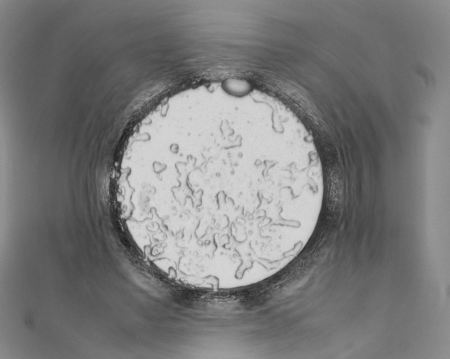X0000111450491200908241209