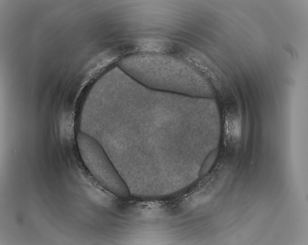 X0000111450492200908241209