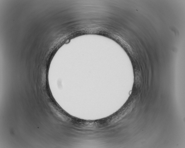 X0000111450493200908241209