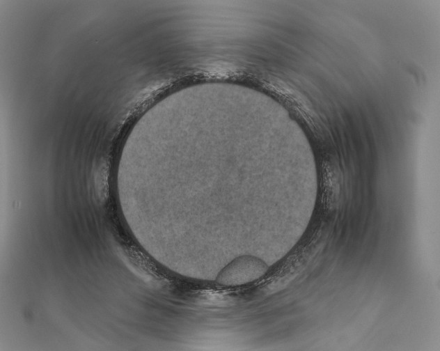 X0000111450496200908241209