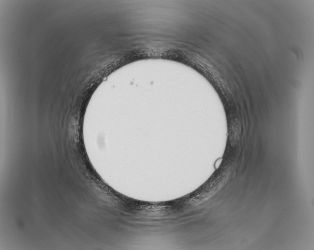 X0000111450497200908241209