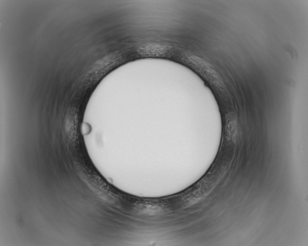 X0000111450498200908241209