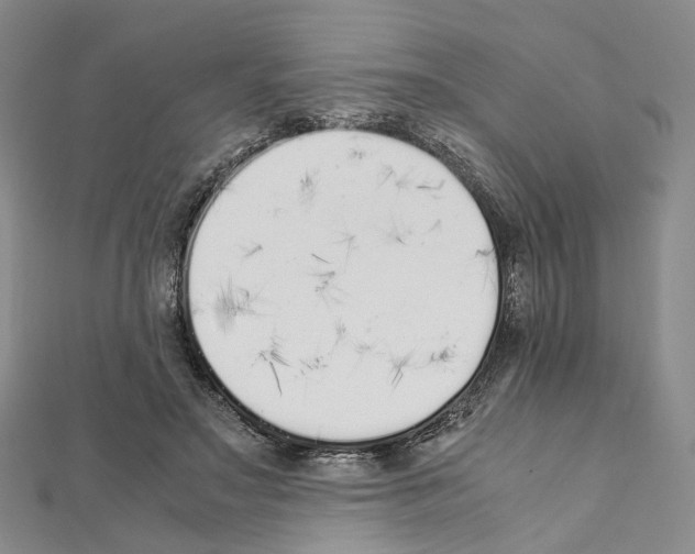 X0000111450499200908241209