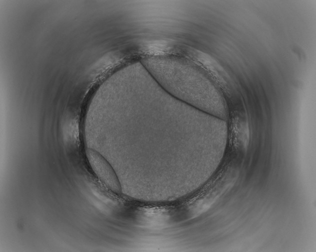 X0000111450500200908241209