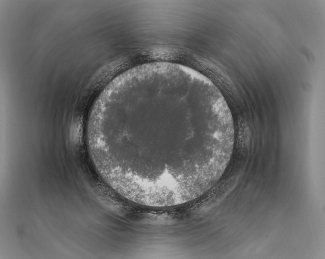 X0000111450502200908241209