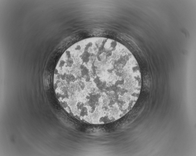 X0000111450503200908241209