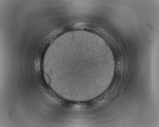 X0000111450504200908241209