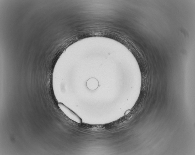 X0000111450505200908241209