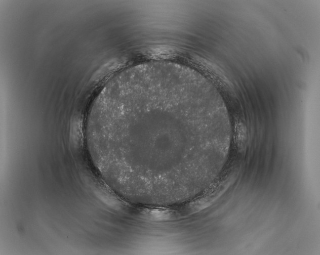 X0000111450506200908241209